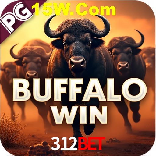 312Bet: A Experiência de Casino com Jogos de Mesa ao Vivo